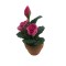 Dolls House Fuchsia Pink Roses in a Terracotta Pot Outdoor Garden Accessory
