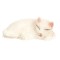 Dolls House Sleeping White Cat Curled Up Lying Down Miniature Pet 1:12 Scale