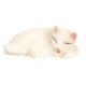 Dolls House Sleeping White Cat Curled Up Lying Down Miniature Pet 1:12 Scale