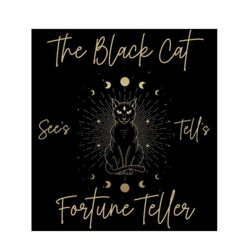 Dolls House Black Cat Fortune Teller Sign Halloween Fairground Poster 1:12 Card