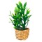 Dolls House Bamboo Plant in Wicker Basket Planter Modern Home Decor Accessory