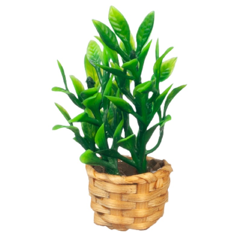 Dolls House Bamboo Plant in Wicker Basket Planter Modern Home Decor Accessory