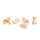 Dolls House 5 Ginger Cats Sitting Standing Lying 1:12 Scale Pets Dolls House 5 Ginger Cats Sitting Standing Lying 1:12 Scale Pets