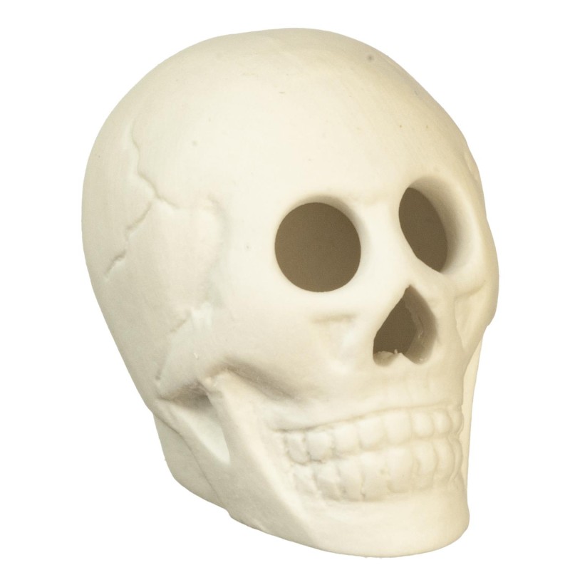 Dolls House Skull Statue Halloween Display Skeleton Head Ornament Accessory