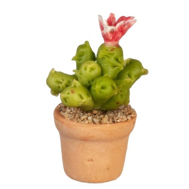 Dolls House Flowering Cactus Plant in Terracotta Pot Miniature 1:12 Accessory