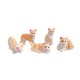 Dolls House 5 Ginger Cats Sitting Standing Lying 1:12 Scale Pets Dolls House 5 Ginger Cats Sitting Standing Lying 1:12 Scale Pets