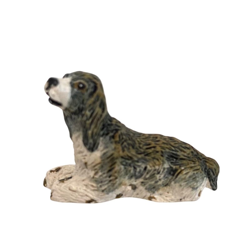 Dolls House Springer Spaniel 1:12 Scale Pet Dog Dolls House Springer Spaniel 1:12 Scale Pet Dog