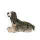 Dolls House Springer Spaniel 1:12 Scale Pet Dog Dolls House Springer Spaniel 1:12 Scale Pet Dog