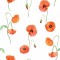 Dolls House Wallpaper Poppy Design