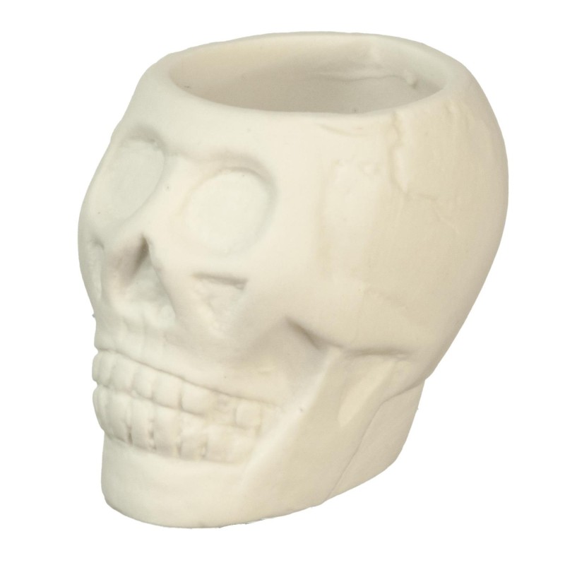 Dolls House Human Skull Planter Halloween Display Decoration Ornament Accessory