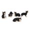 Dolls House 5 Black & White Cats Sitting Standing Lying 1:12 Scale Pets