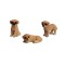 Dolls House Yellow Labrador Puppies Standing Sitting Lying Down Retriever Dogs