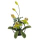 Dolls House Yellow Lilly Flowers Display on Black Metal Stand Garden Accessory