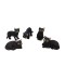 Dolls House 5 Black Cats Sitting Standing Lying 1:12 Pets Halloween Accessory