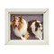 Dolls House 2 Collie Dogs Picture Painting White Frame Miniature 1:12 Accessory