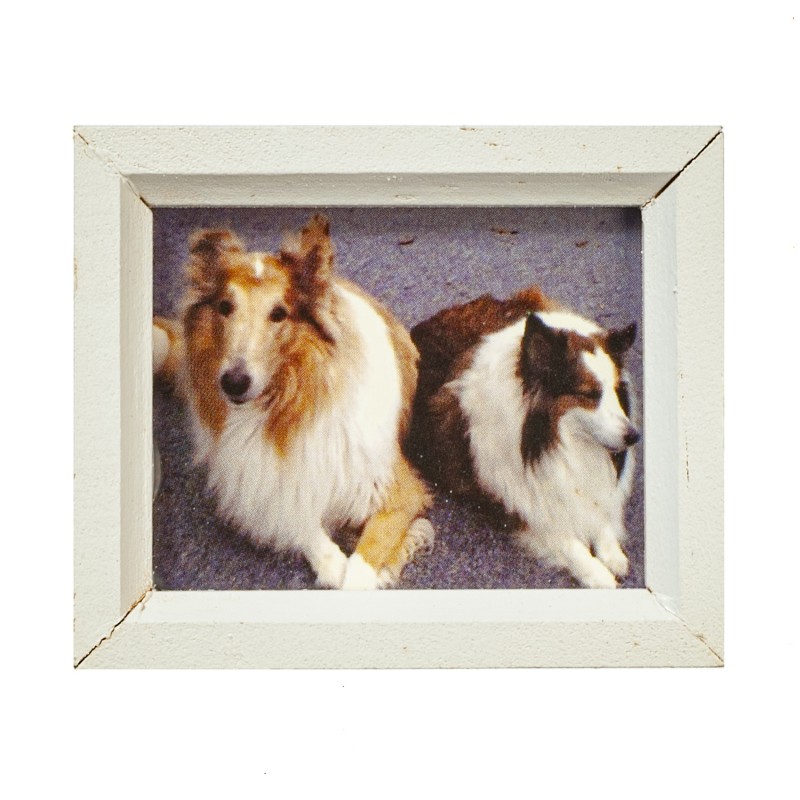 Dolls House 2 Collie Dogs Picture Painting White Frame Miniature 1:12 Accessory