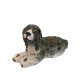 Dolls House Springer Spaniel 1:12 Scale Pet Dog Dolls House Springer Spaniel 1:12 Scale Pet Dog