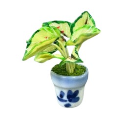 Dolls House Coleus Plant in Blue Delft Pot Living Room Ornament 1:12 Accessory