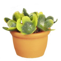 Dolls House Green House Plant in Terracotta Flower Pot Outdoor Garden Accessory