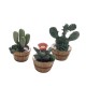 Dolls House 2 Gnomes Miniature Garden Ornaments 1:12 Scale Accessory Dolls House 2 Gnomes Miniature Garden Ornaments 1:12 Scale Accessory