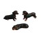 Dolls House Dachshund Dogs Wiener Sausage Badger Doxie Smooth Black 3 1:12 Pets