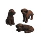 Dolls House Chocolate Labrador Puppies Standing Sitting Lying Retriever Dogs