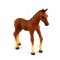 Dolls House Foal Pony Falcon Miniature Stable Farm Animal Young Horse 1:12 