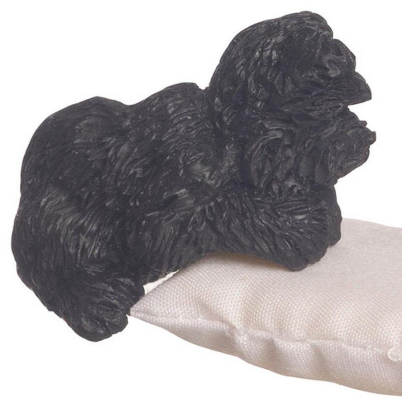 Dolls House Black West Highland Terrier Sitting Paws Resting Miniature Pet Dog