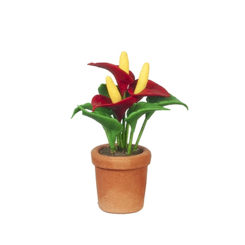 Dolls House Red Anthurium Laceleaf Flower in Terracotta Pot Garden Accessory