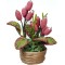 Dolls House Pink Cone House Plant in Rope Pot Miniature Home Garden Accessory
