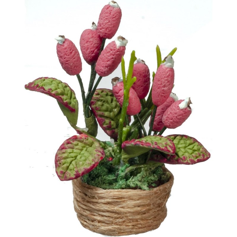 Dolls House Pink Cone House Plant in Rope Pot Miniature Home Garden Accessory