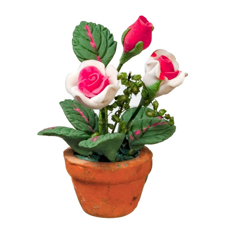 Dolls House Pink Roses in a Terracotta Pot Miniature Garden Accessory 1:12 Scale