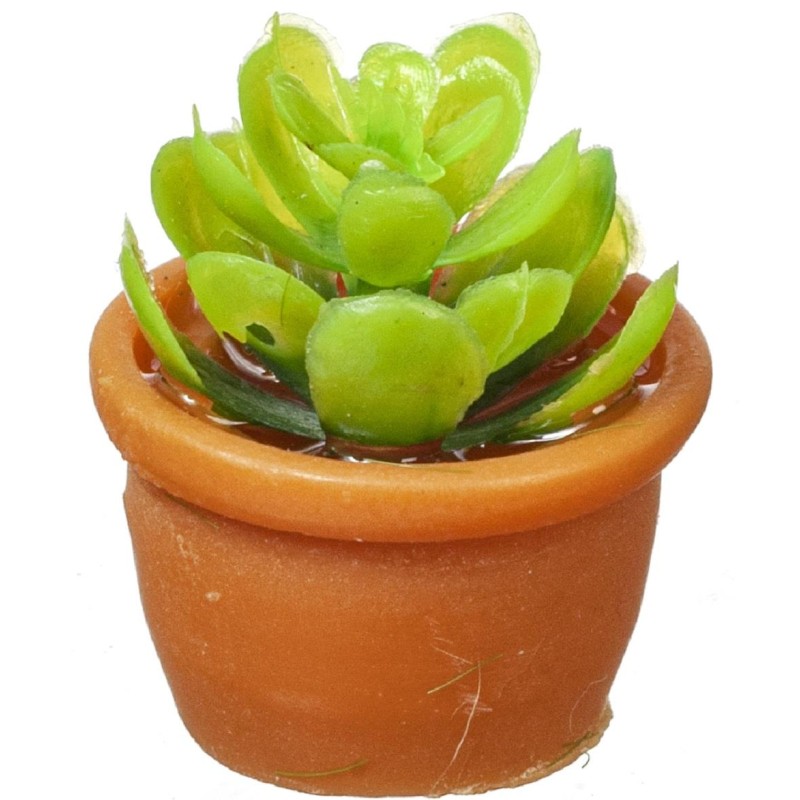 Dolls House Succulent Plant in Terracotta Pot Miniature Garden Accessory 1:12