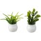 Dolls House Green Succulent Plants in White Pots Miniature Garden Home Accessory