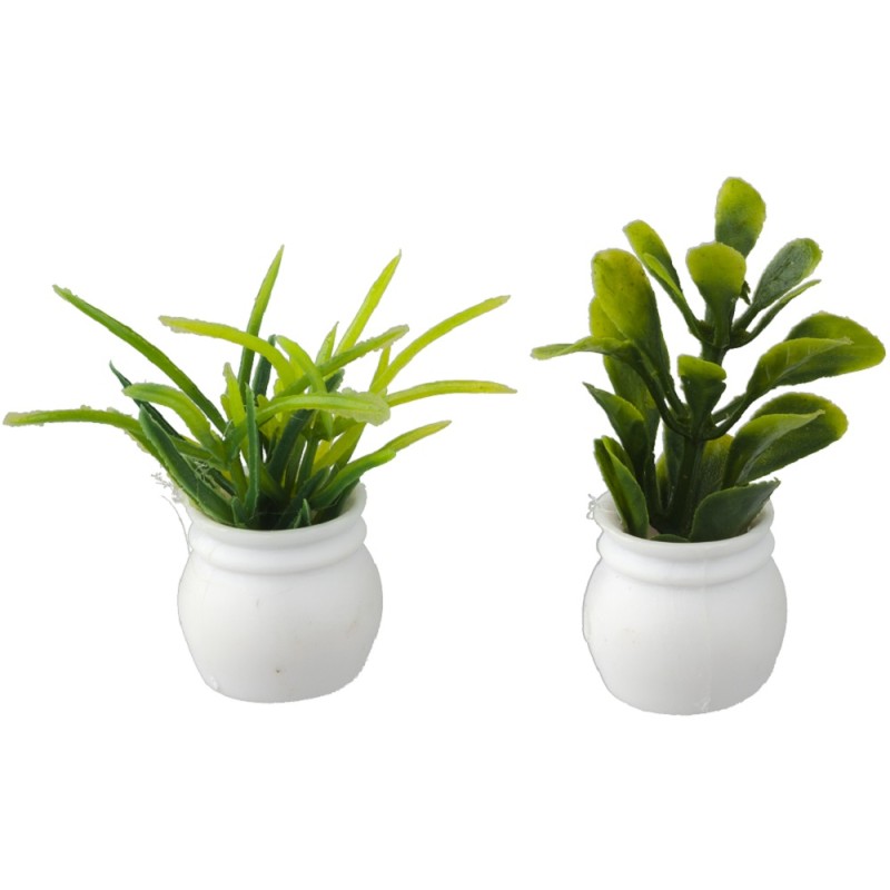 Dolls House Green Succulent Plants in White Pots Miniature Garden Home Accessory