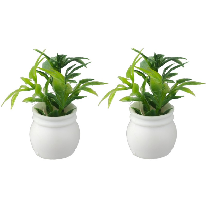 Dolls House Green Indoor Plants in White Pot Miniature Garden or Home Accessory