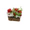 Dolls House Red and White Flowers in Trough Pot Miniature 1:12 Garden Accessory