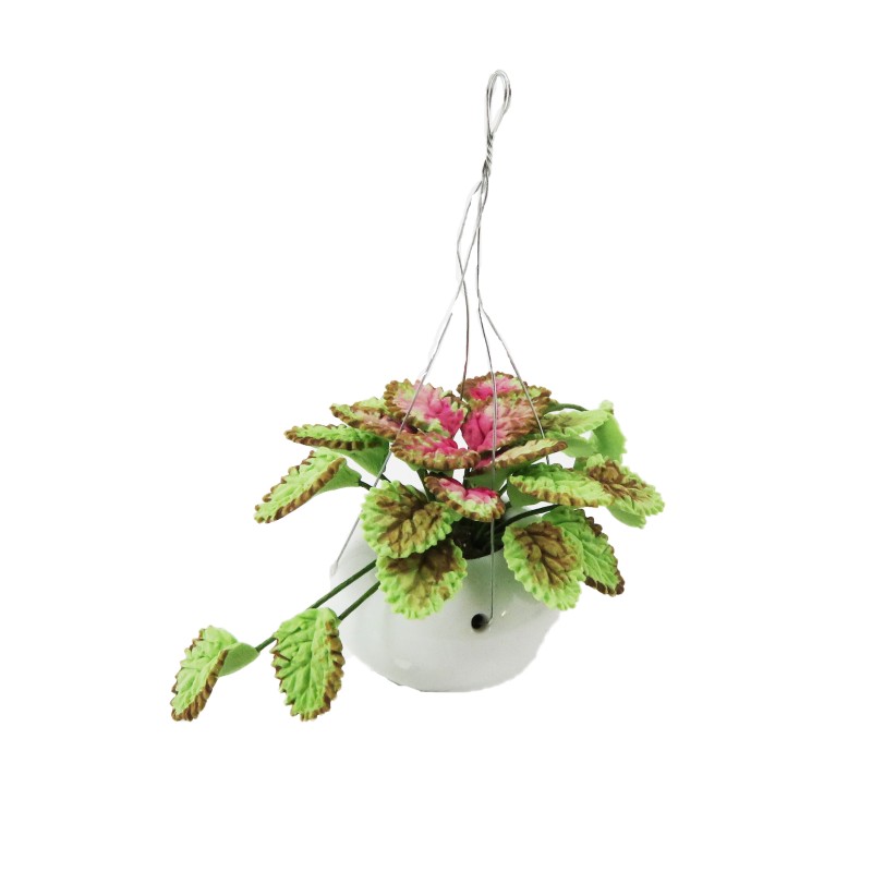 Dolls House Caladium Plant in White Hanging Basket Home or Garden Accessory