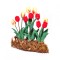 Dolls House Yellow and Red Tulips Flowers in Ground Grass Garden Accessory