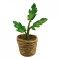 Dolls House Green Plant in Rope Pot Miniature Modern Home or Garden Accessory
