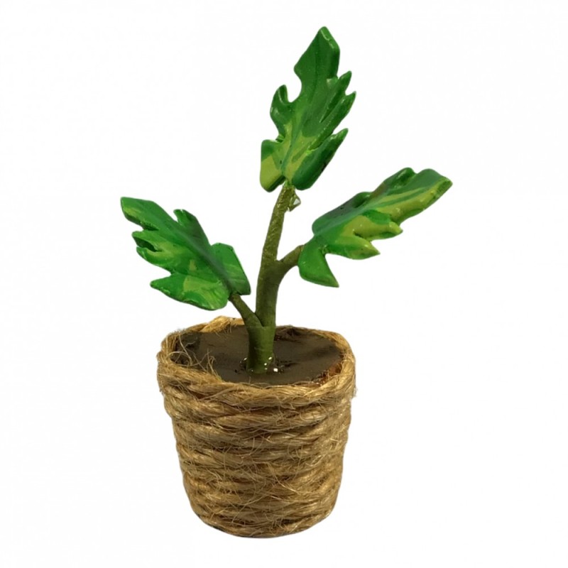 Dolls House Green Plant in Rope Pot Miniature Modern Home or Garden Accessory