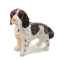 Dolls House Springer Spaniel Standing Pet Dog Miniature 1:12 Scale Accessory 