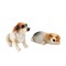 Dolls House Jack Russel Dogs Sitting & Lying Down Miniature Pet 1:12 Accessory 