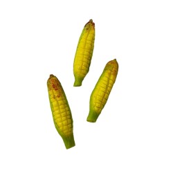Dolls House 3 Sweet Corn on the Cob Miniature Kitchen Vegetable Shop Accessory