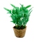 Dolls House Large Green Plant in Wicker Basket 1:12 Home or Garden Accessory