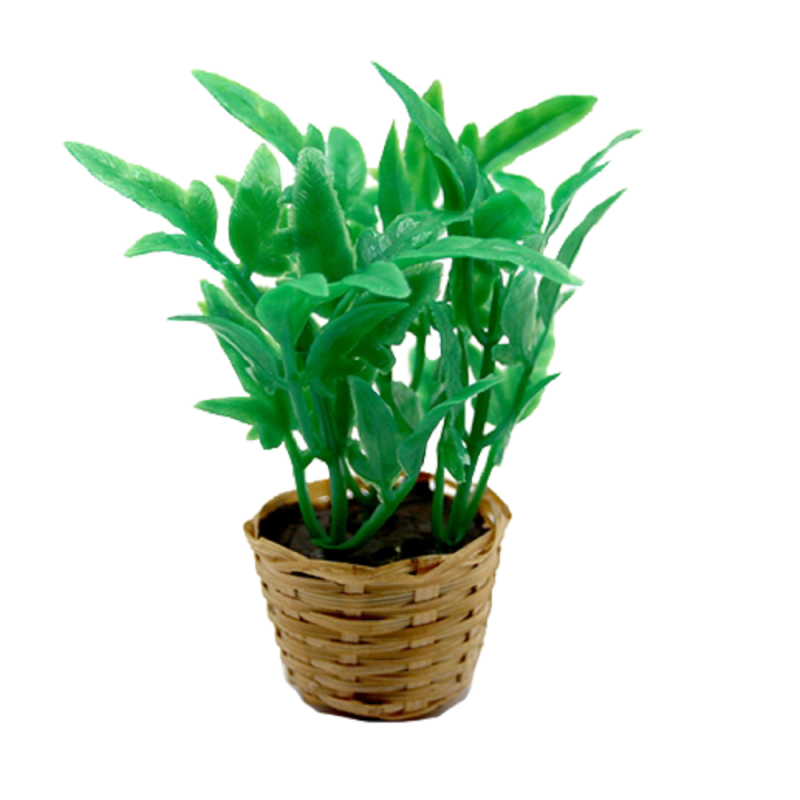 Dolls House Large Green Plant in Wicker Basket 1:12 Home or Garden Accessory