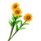 Dolls House 3 Large Sunflower Flowers on Stem Miniature Garden or Vase Accessory