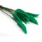Dolls House 12 Green Leaves on Stems Miniature Leaf for Garden or Vase 1:12