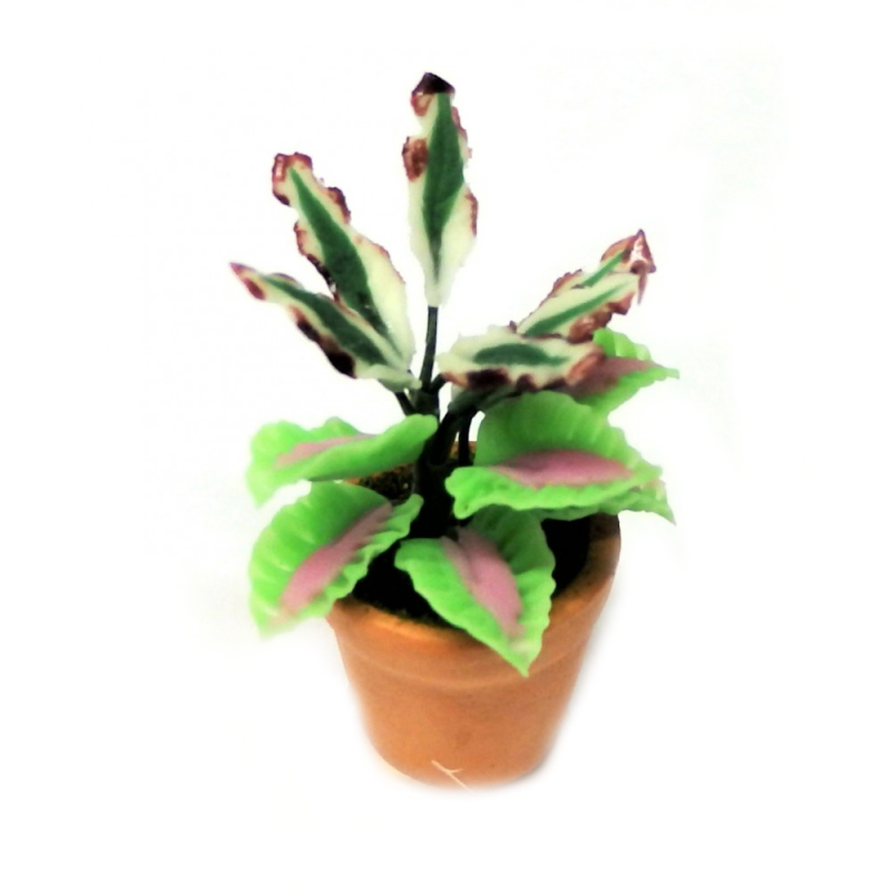 Dolls House Plant in Terracotta Pot Miniature Home or Garden Accessory Type E