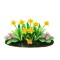 Dolls House Daffodils & Polyanthus Flowers in Ground Soil Grass Garden Accessory